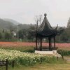 夏至静秋的头像