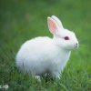 姚氏【御林军】将军☞喜乐☜的头像