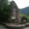 wycg的头像