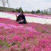 花花的头像