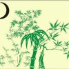盈盈翠竹的头像