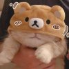 つ蓝小颖的头像