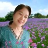 春暧花开的头像