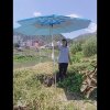 我太，，，傻了的头像