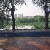 从善如流的头像