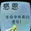 看淡人生（退）的头像