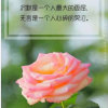 诺言的头像