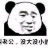 杨的头像