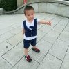 山木草的头像