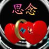 梅的头像