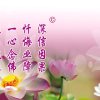 快乐-的头像