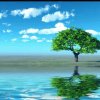海蓝蓝的头像