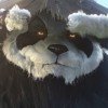 panda的头像