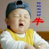 你不来，我不老的头像
