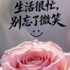 花艳蝶纷飞的头像