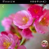 空白的头像