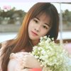 馨冉【歌房总监】小金的头像