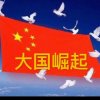 与歌为伴的头像
