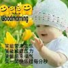 雁芷的头像