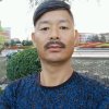 极品甜瓜技术指导的头像