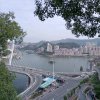 没心没肺的头像