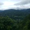 田冬梅的头像