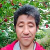 一晃就老了的头像
