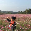 春之的头像