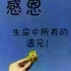 开心每一天的头像