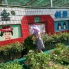 馨雨的头像