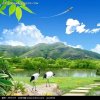 金星的头像