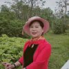 凤兰的头像