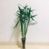 芳芳的头像