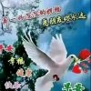蒙恩的人365的头像