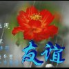 雾里看花的头像