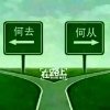 浪子飞的头像