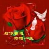 玲儿 的头像