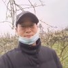 乐的头像