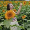 静若繁花的头像