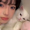 仙玖❅。゜。的头像