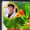 明月星稀~乌鹊南飞的头像