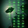 美丽无声的头像