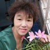 细雨连花仙子的头像