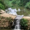 小河流水的头像