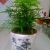 游戏人生的头像
