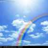 雨后彩虹的头像