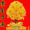 发财树的头像
