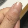 春风得意的头像
