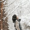  倚窗听雪的头像