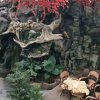 娜皇冰清雨雪：不听歌就不要赞了，谢谢合作友友们的头像